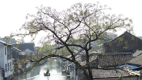 长三角一体化示范区规划揭秘 用好风景引来新经济
